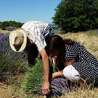 M Guigou père, lavandiculteur et Marie Mil de Atelier Lavande M Guigou père, lavandiculteur et Marie Mil de Atelier Lavande