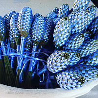 Petits fuseaux de lavande de Provence appelés les pitchouns Petits fuseaux de lavande de Provence appelés les pitchouns