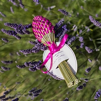 Fuseau de lavande Zwarovski / Jacquemus Cadeau VIP défilé Lavande Valensole Fuseau de lavande Zwarovski / Jacquemus Cadeau VIP défilé Lavande Valensole