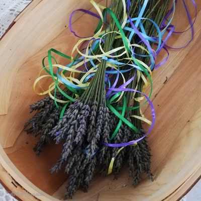 Lavande en bouquets pour faire des petits fuseaux Lavande en bouquets pour faire des petits fuseaux