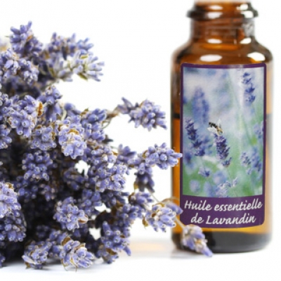 Huiles essentielle de lavande de Provence Huiles essentielle de lavande de Provence
